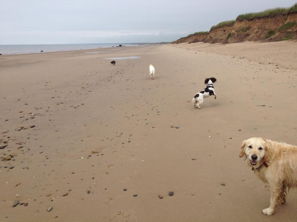 Luxury Dog Friendly Cottage Sleeps 4 Bridlington Extérieur photo